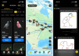 ‘Slow-cial’ app Roost forces you to slow down to the speed of a carrier pigeon