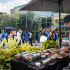 US nutrition startup Berry Street merges with India’s Healthify as GLP-1 trends upwards