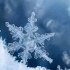 Salesforce waves bye-bye to UI in 'headless' embrace